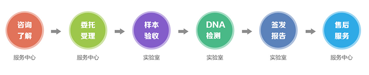 南京隐私亲子鉴定流程